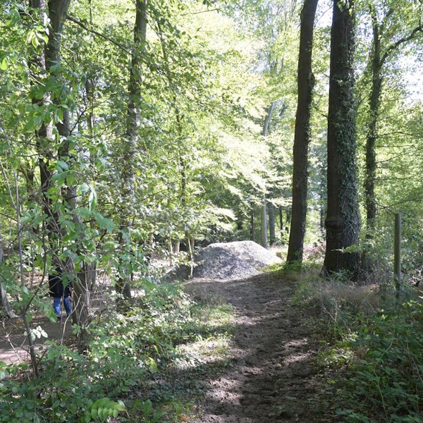 Reitweg Diepeschrather Forst