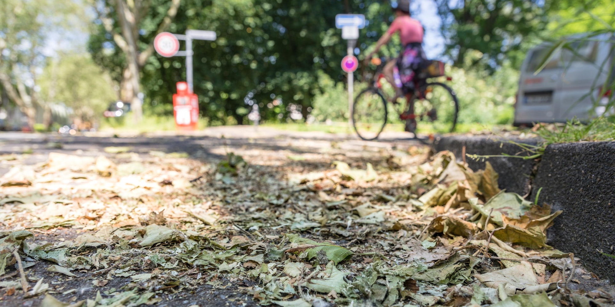 20190602wetter-mh3281