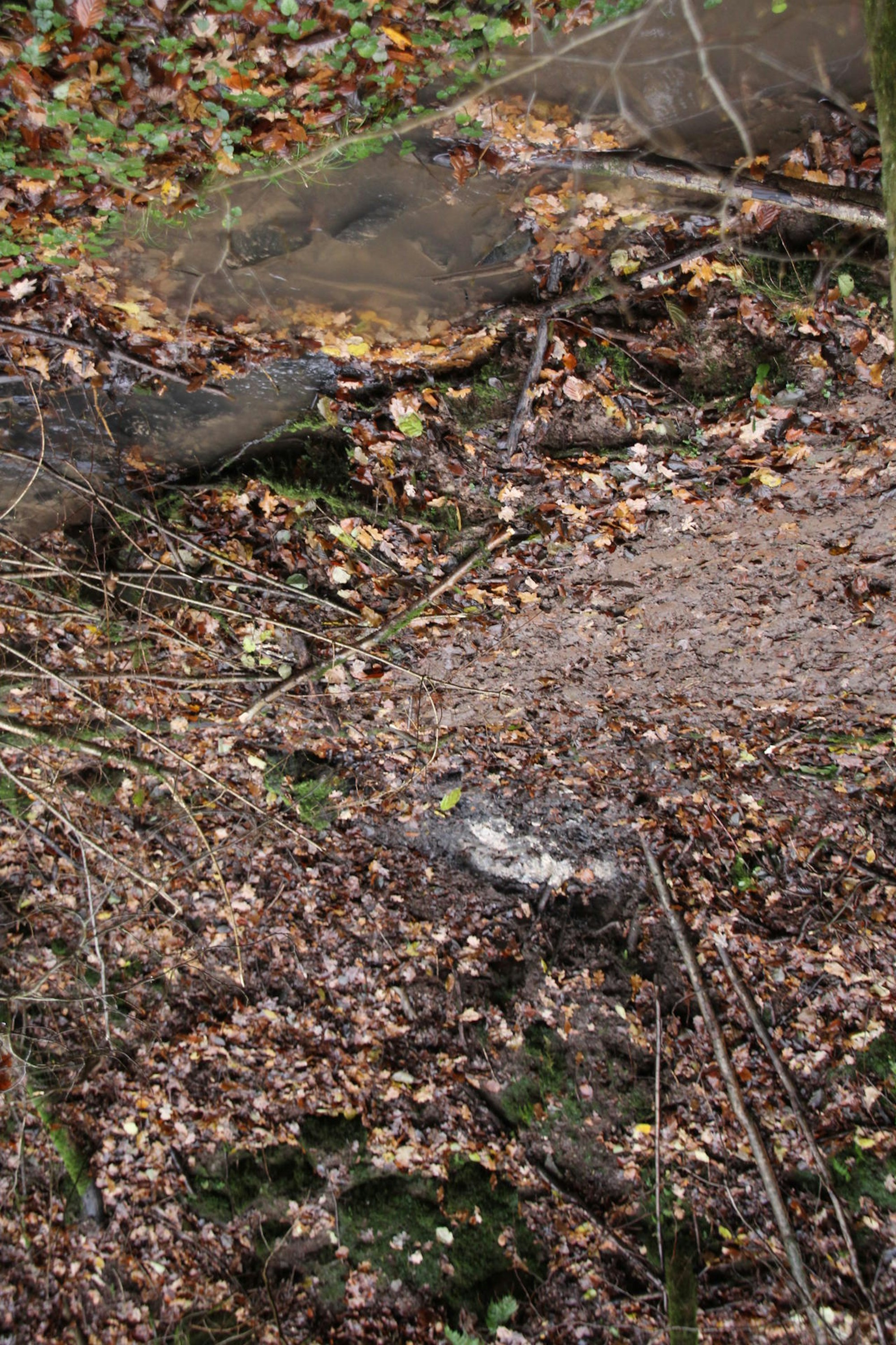 LeichenFundortRemschoß