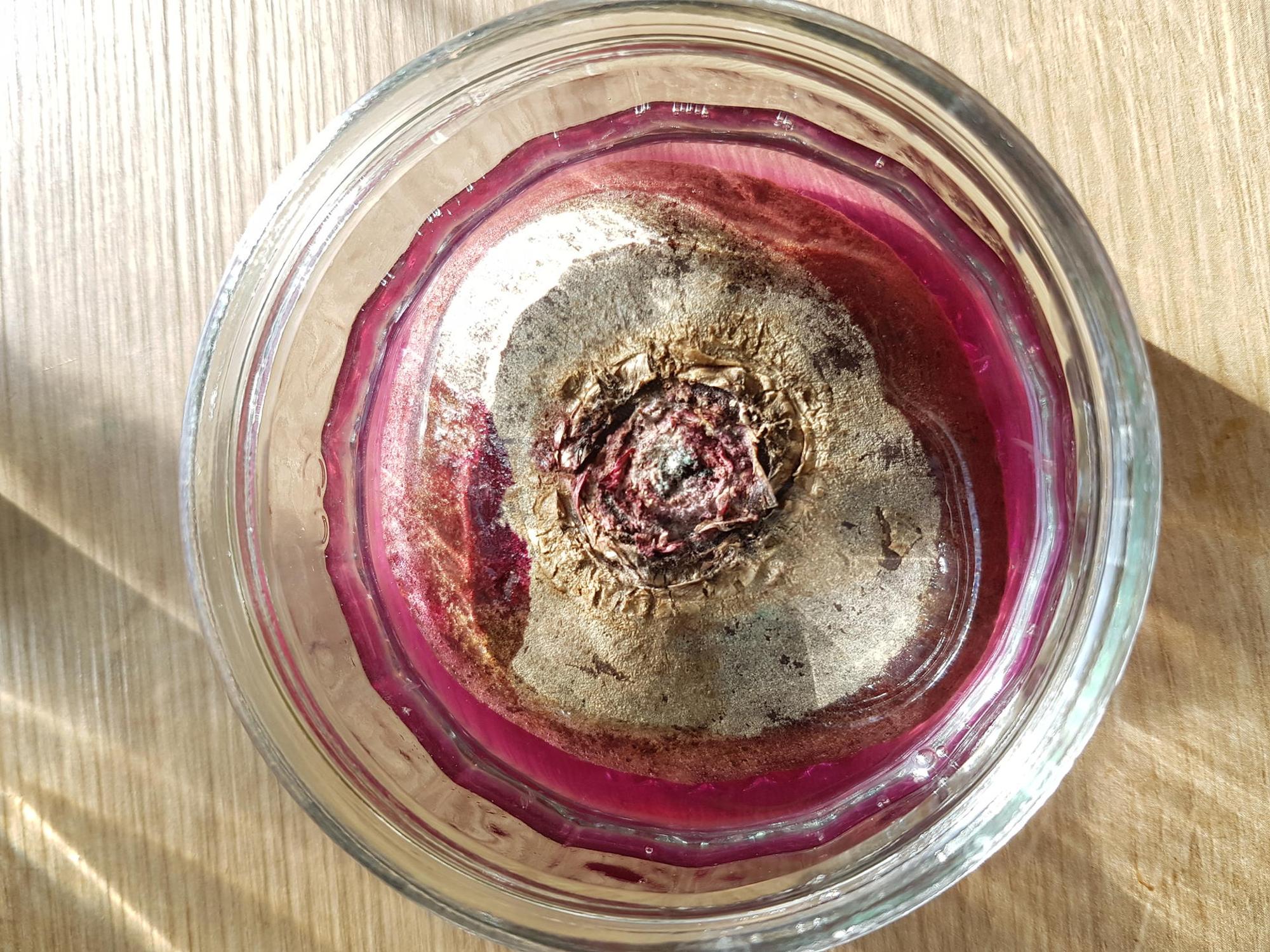 Rote Bete-Jasmin