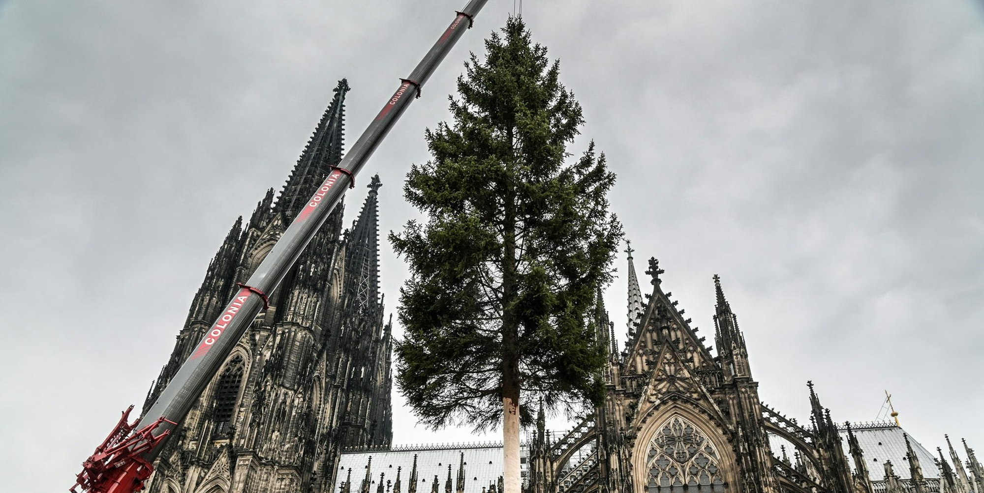 191115_uw_Waldsterben_001