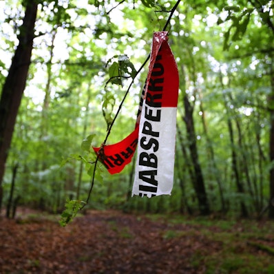 abgerissene Polizeiabsperrband im Wald am tag