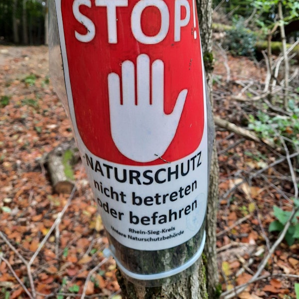 Neuer Inhalt