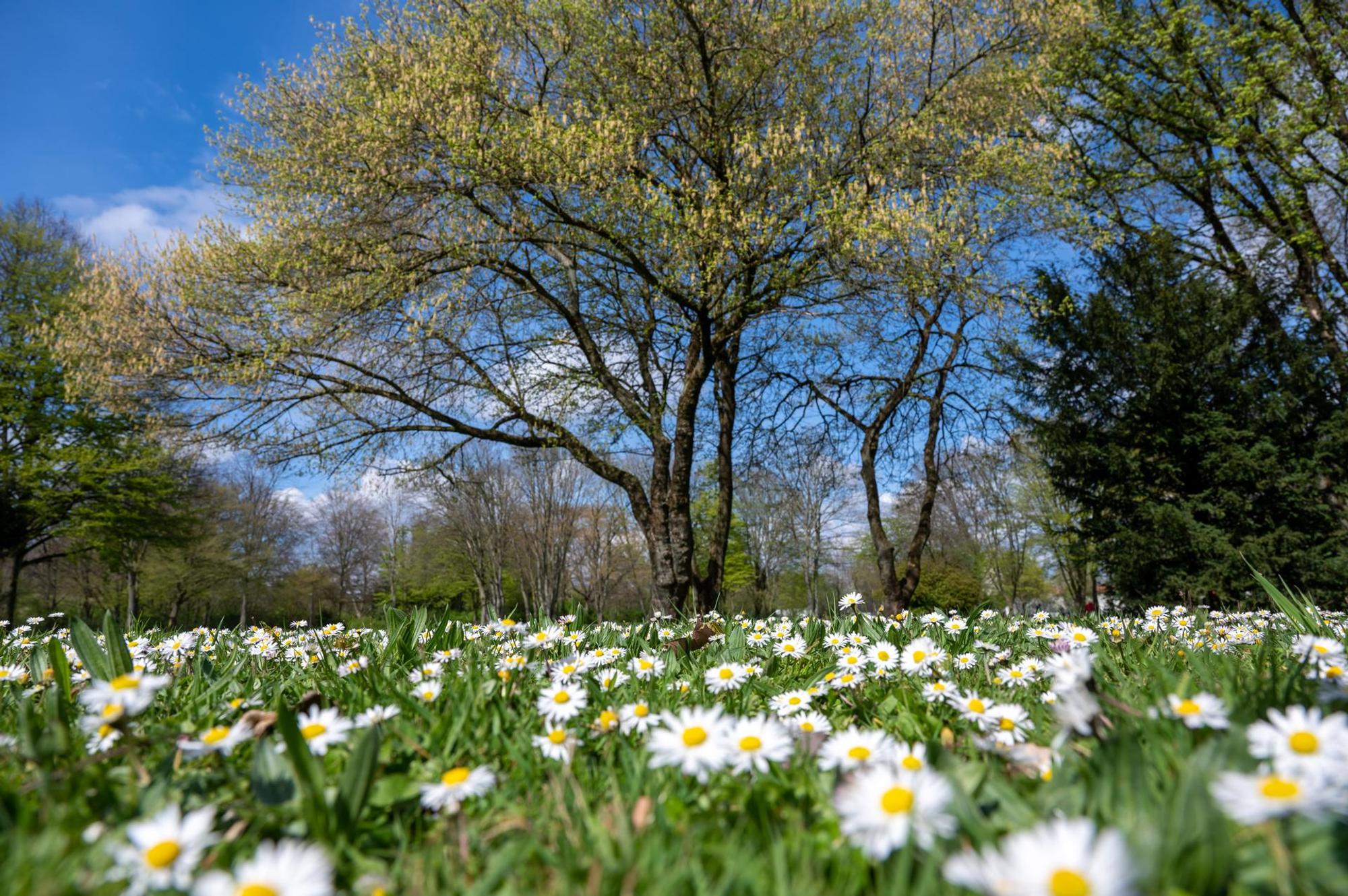 20220410-UWE-FruehlingParksLeverkusen-34