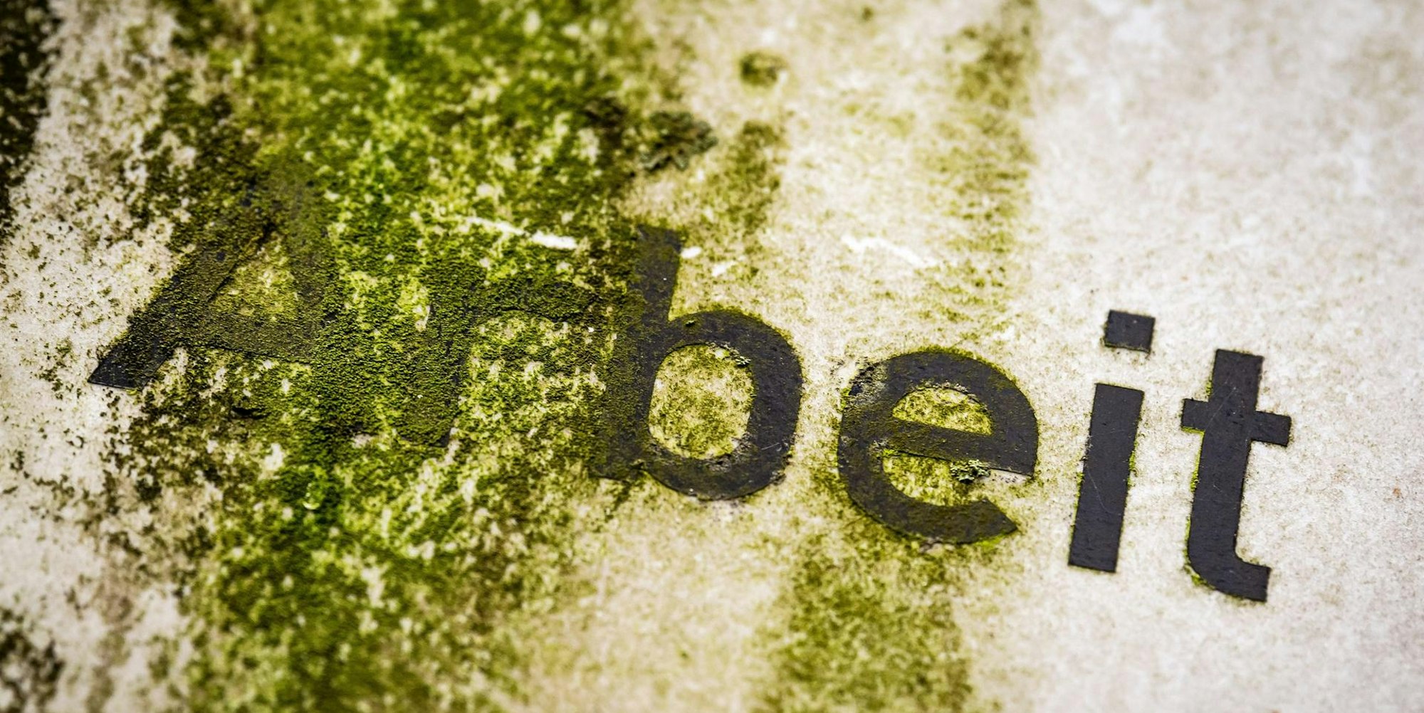 Neuer Inhalt (2)