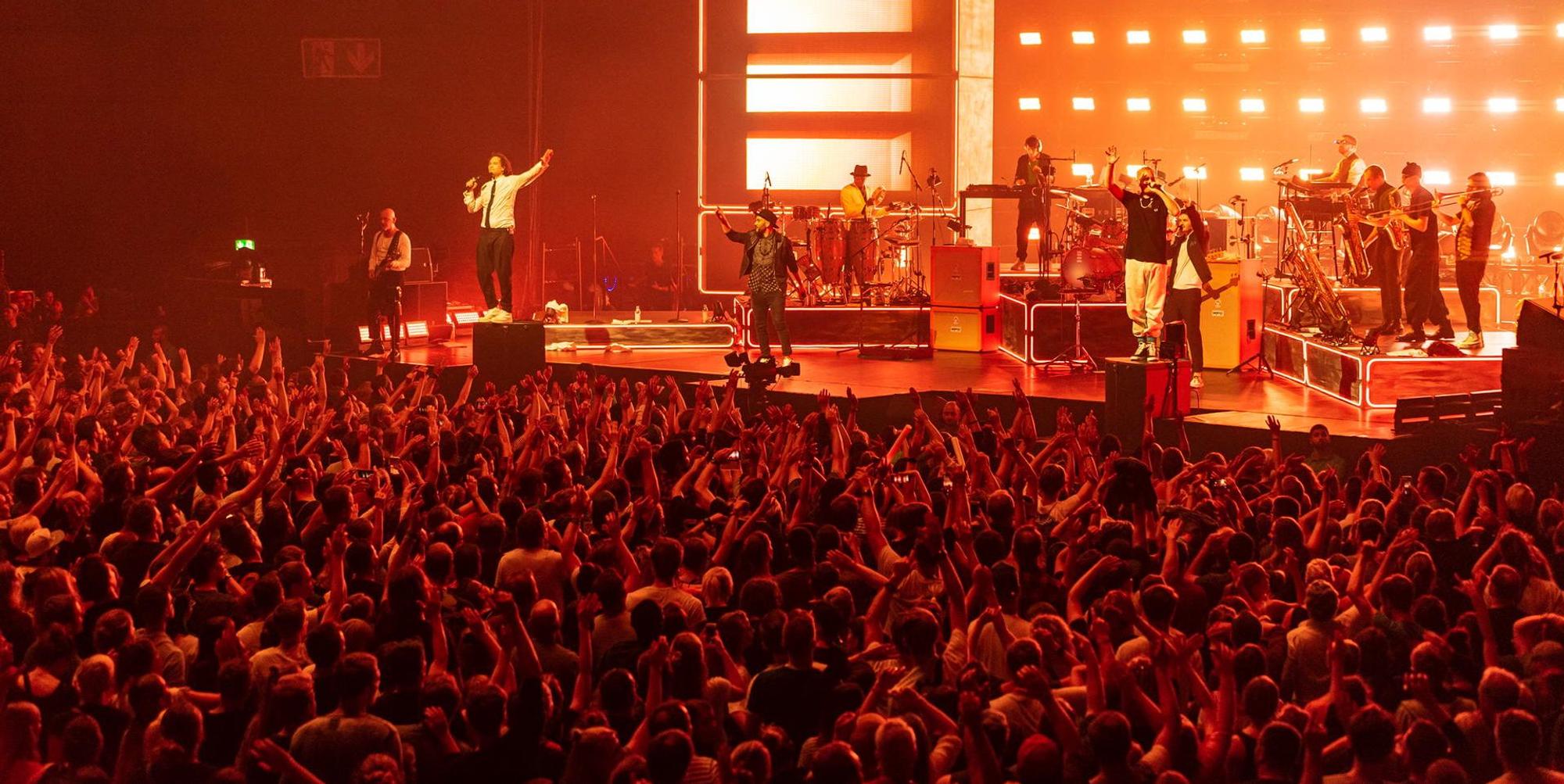 konzert seed
