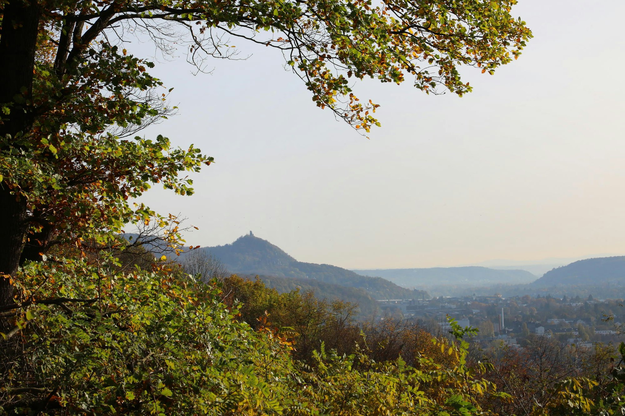 Siebengebirge_Rabenlay-Oberdollendorf_9963
