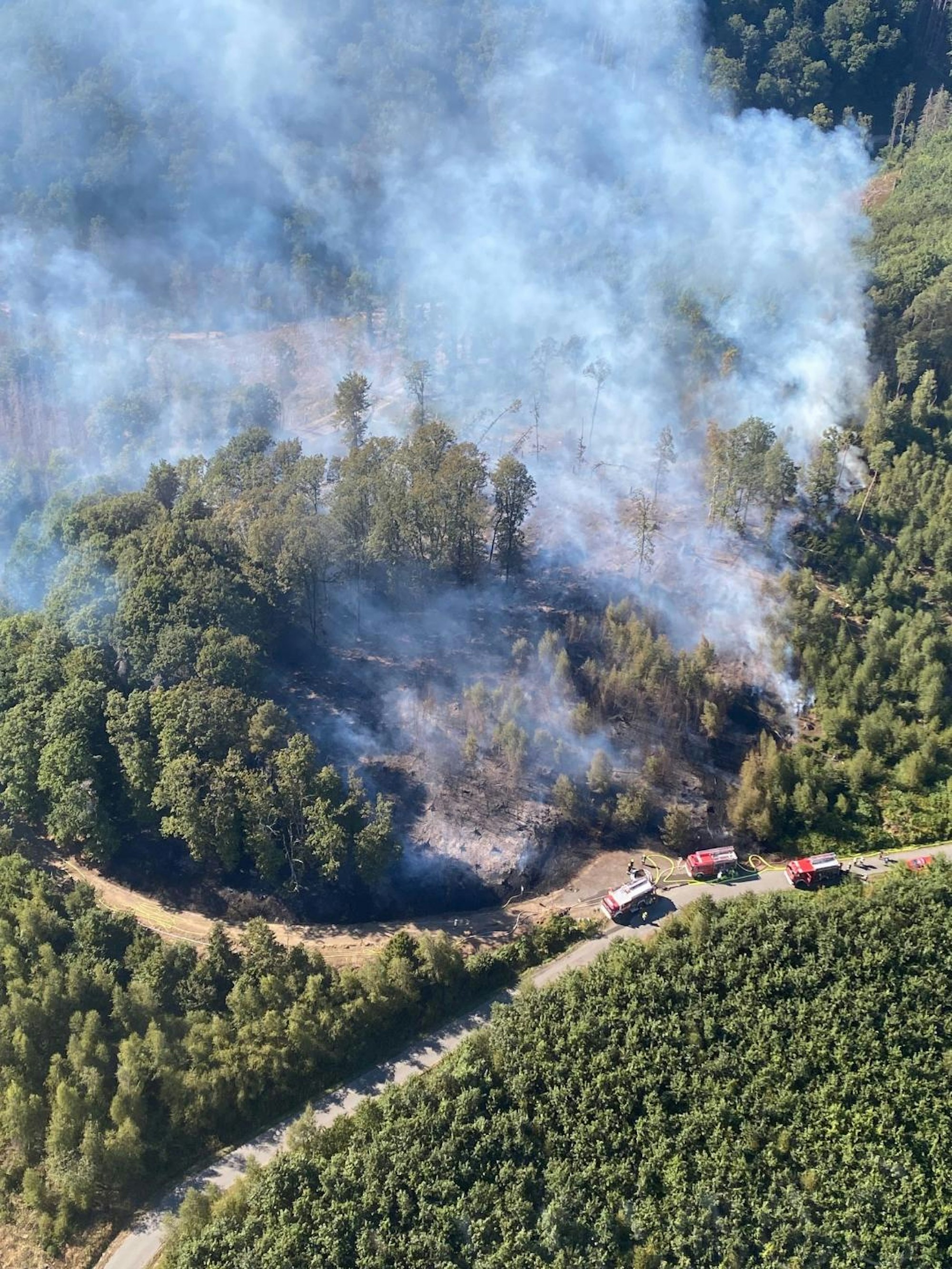 Luftbild Waldbrand Windeck 120822