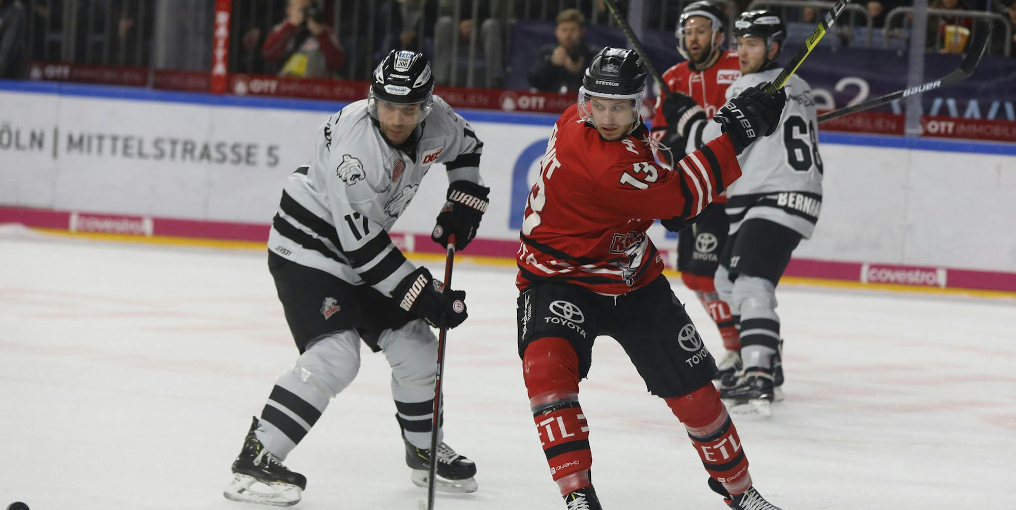 Haie gegen Nürnberg Reimer