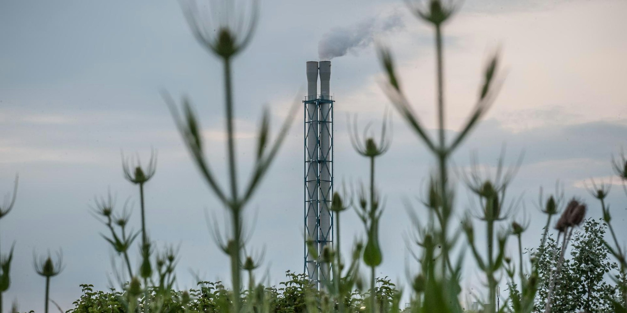 Sondermüllverbrennung Bürrig_001