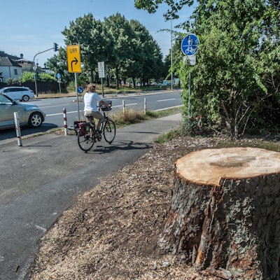 leverkusen-kastanienallee-ALF_3085