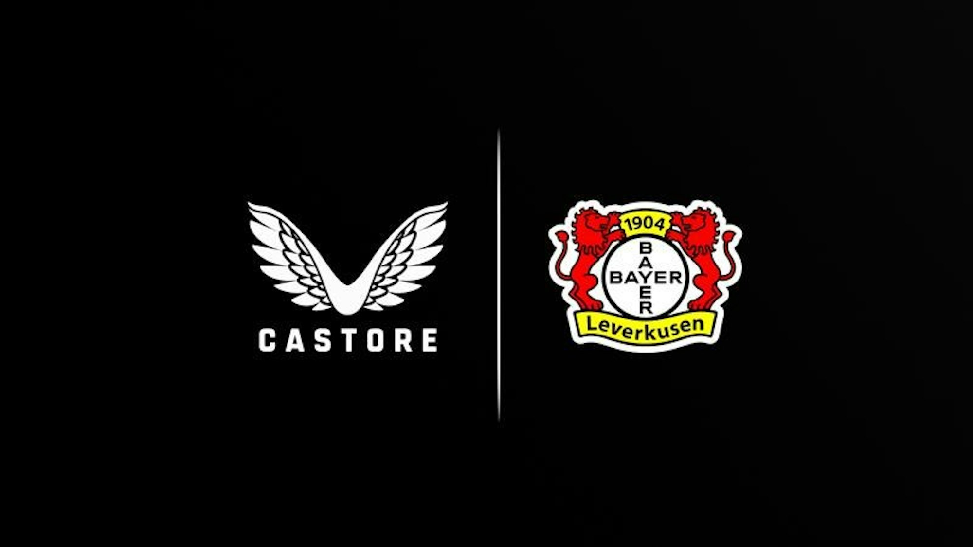 Bayer Castore