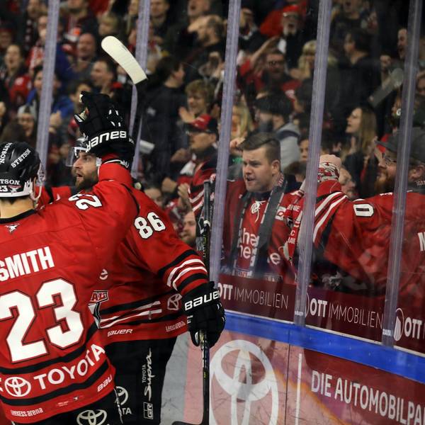 Haie Schwenningen 1