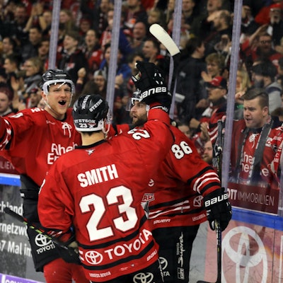 Haie Schwenningen 1