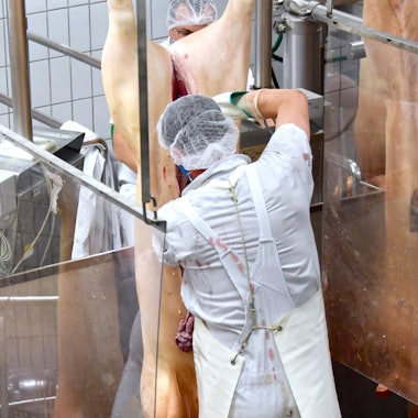 Schlachtung bei Tönnies