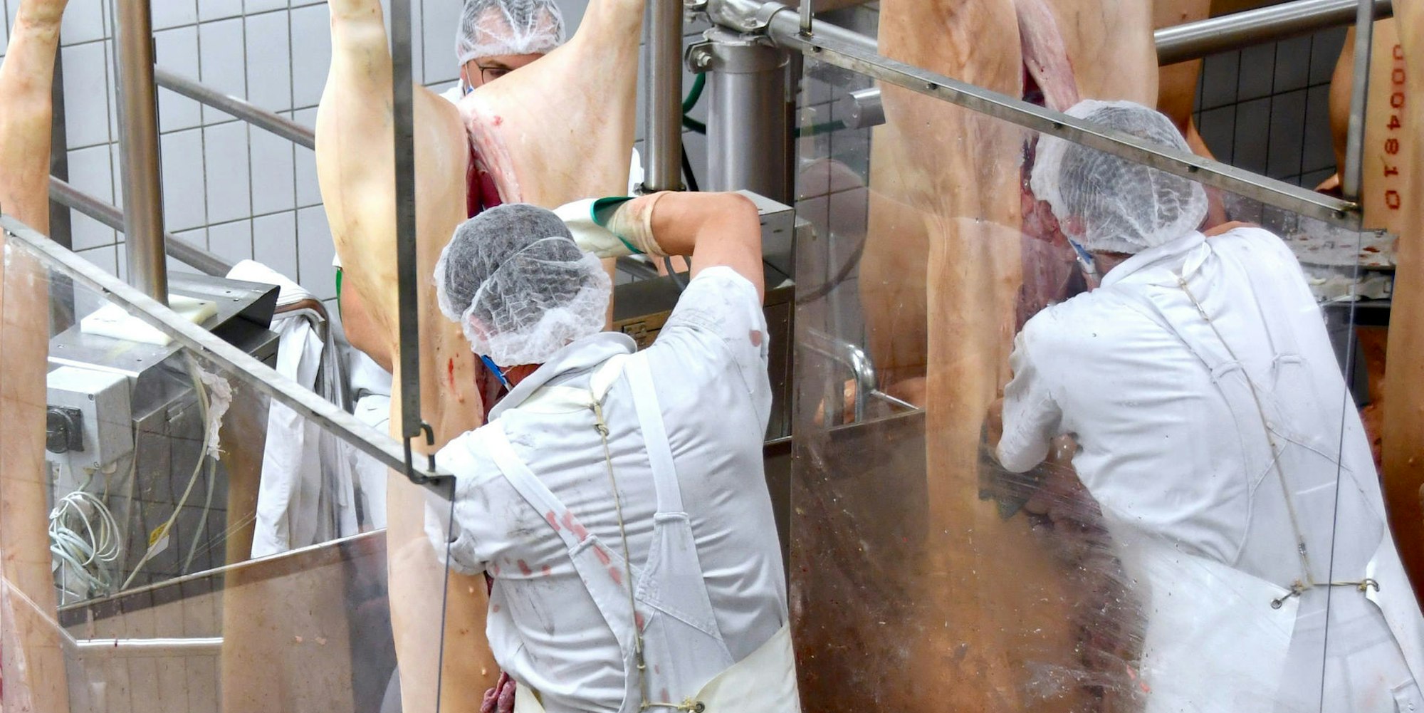 Schlachtung bei Tönnies