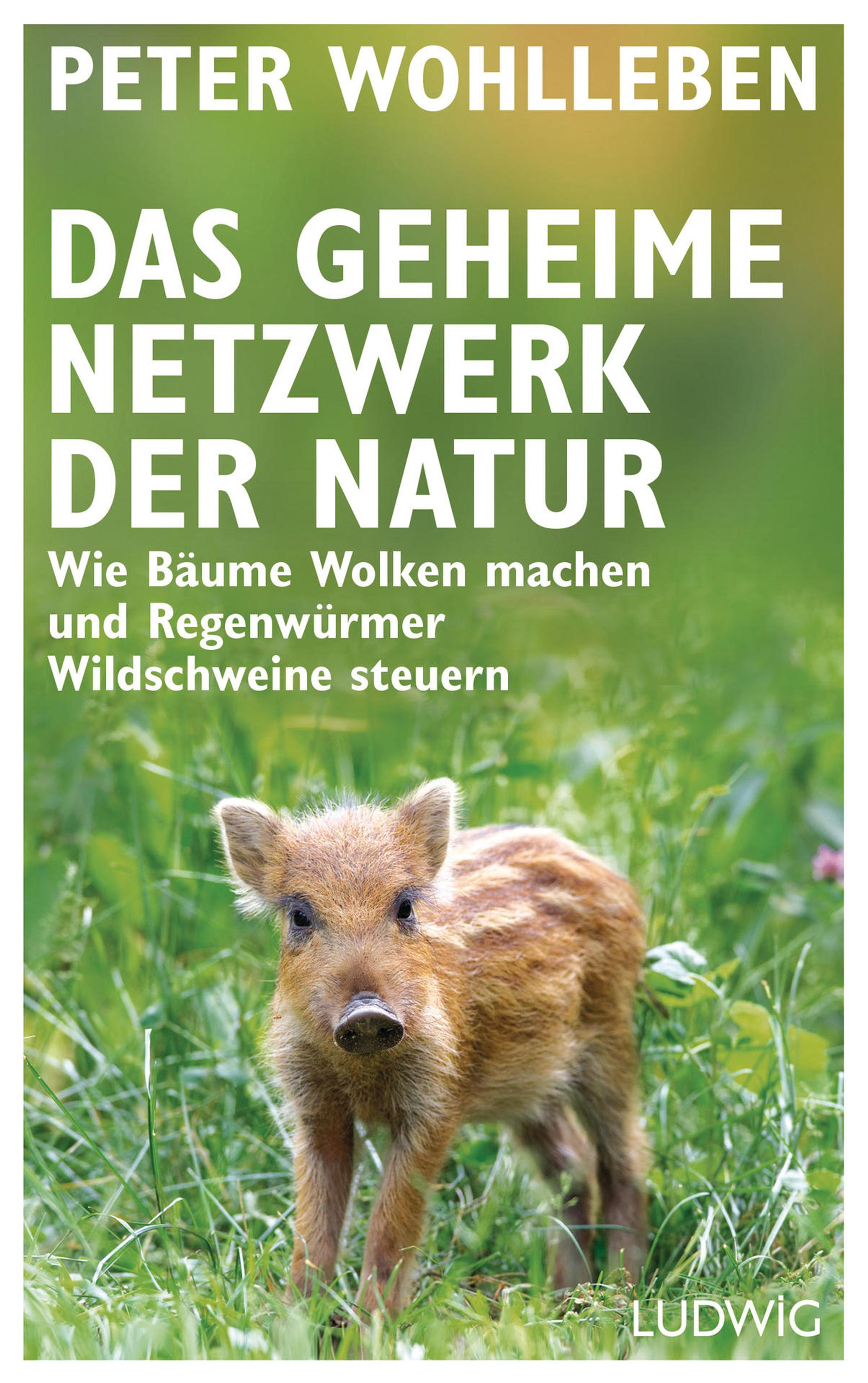 Wohlleben_PDas_geheime_Netzwerk_181986