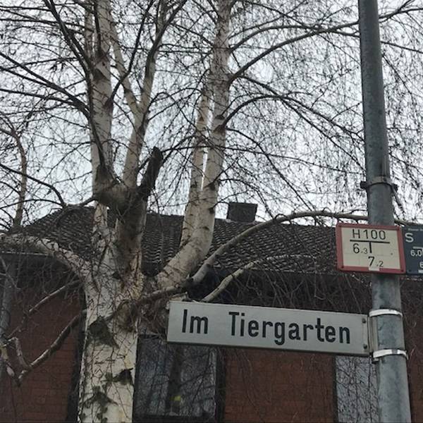 Bergheim_Fliesteden_Glasfaser