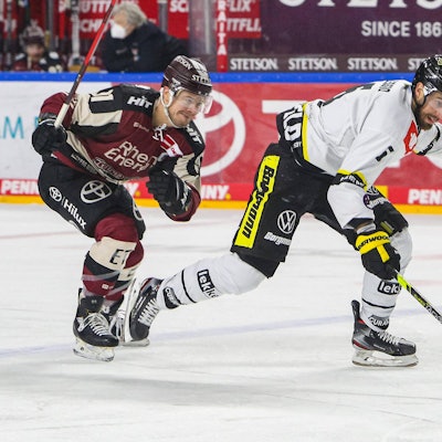 Kölner Haie 2802
