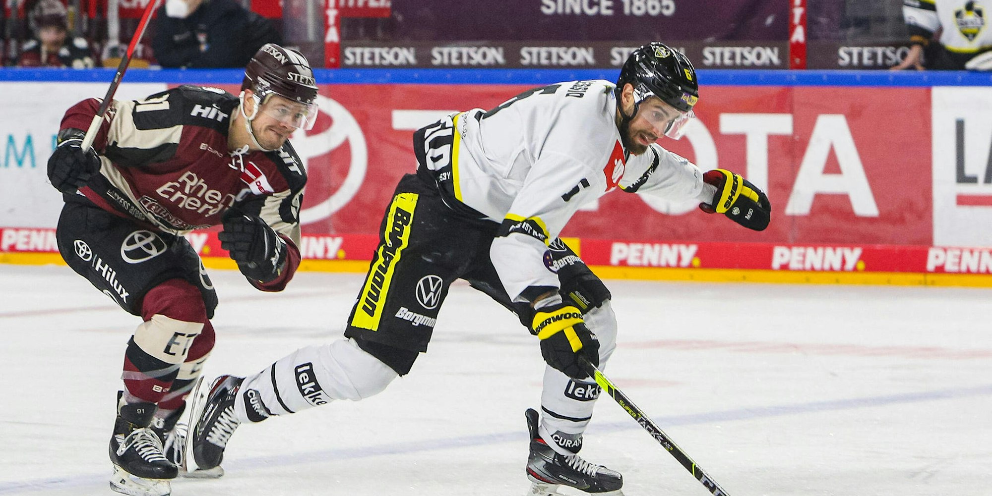 Kölner Haie 2802