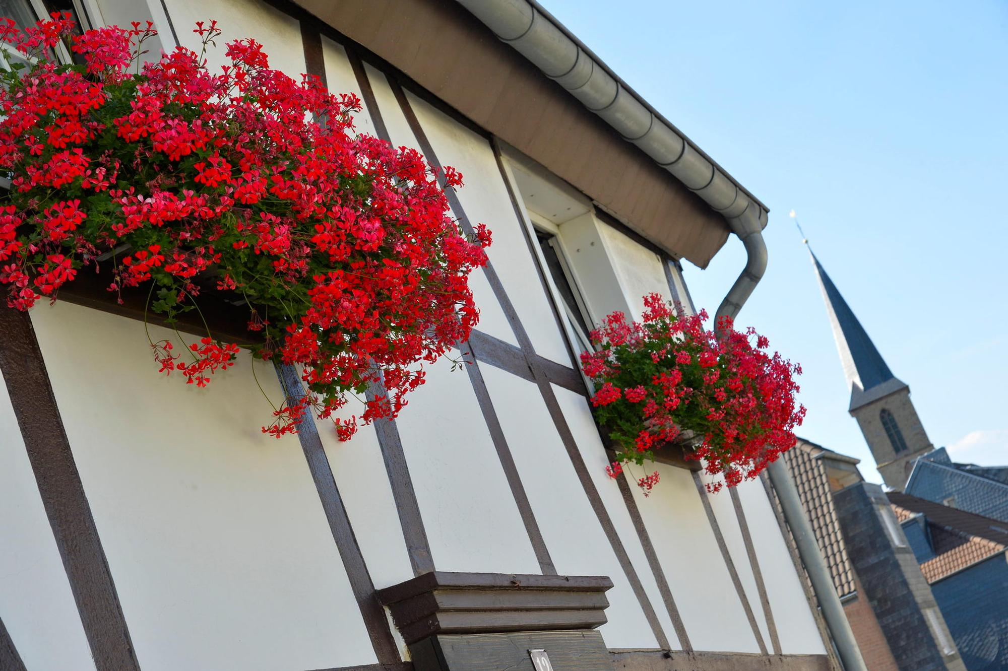 blumenschmuck fachwerk