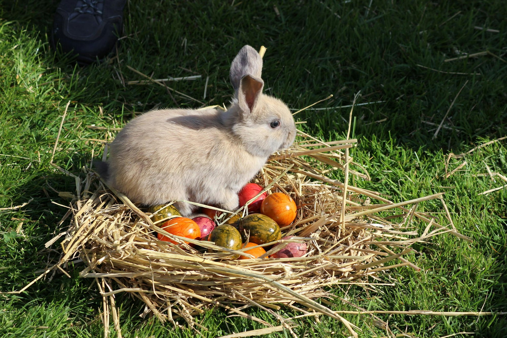 Osterdorf Lampenshausen (1)