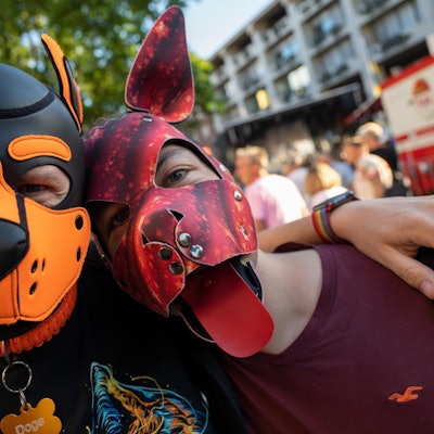 CSD Hundemasken 0207