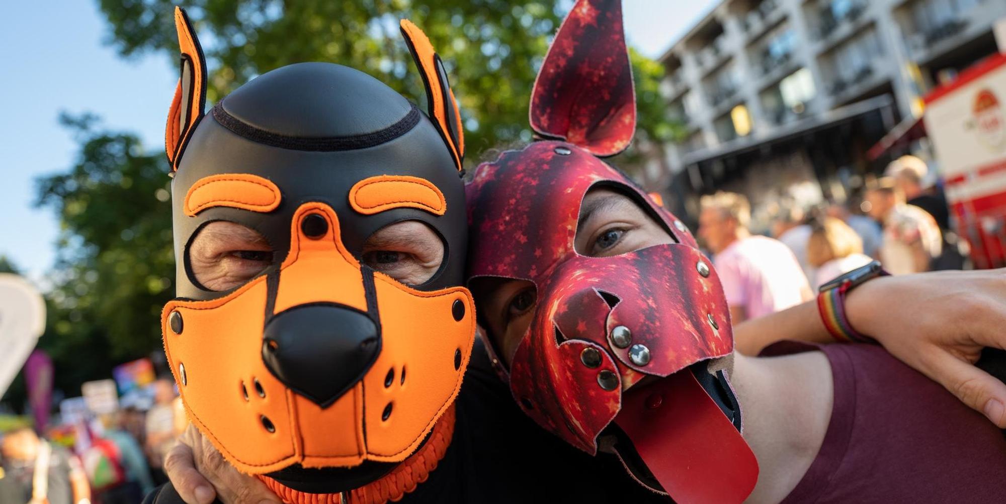 CSD Hundemasken 0207