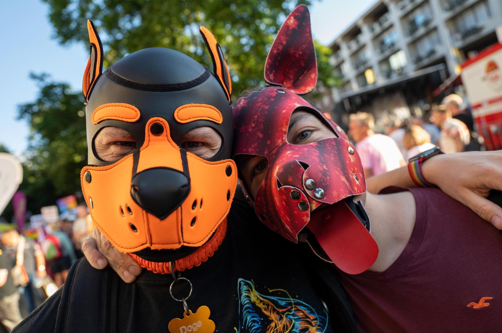 CSD Hundemasken 0207