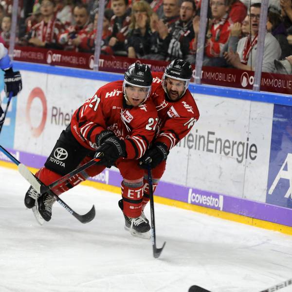 haie gegen ingolstadt