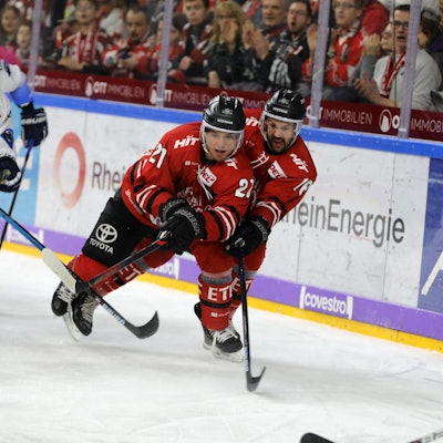 haie gegen ingolstadt