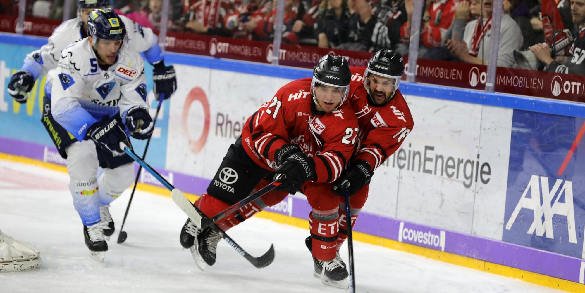 haie gegen ingolstadt
