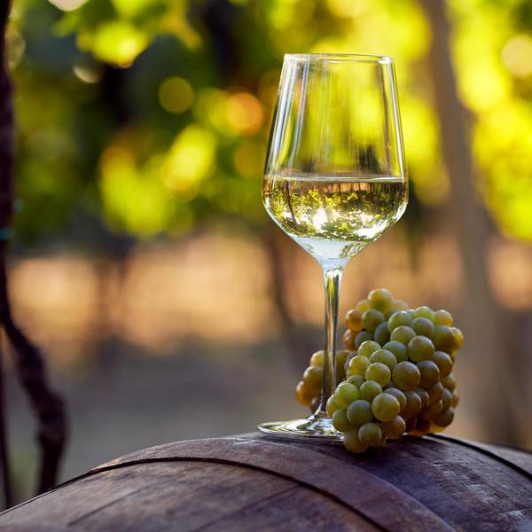 chardonnay fass trauben