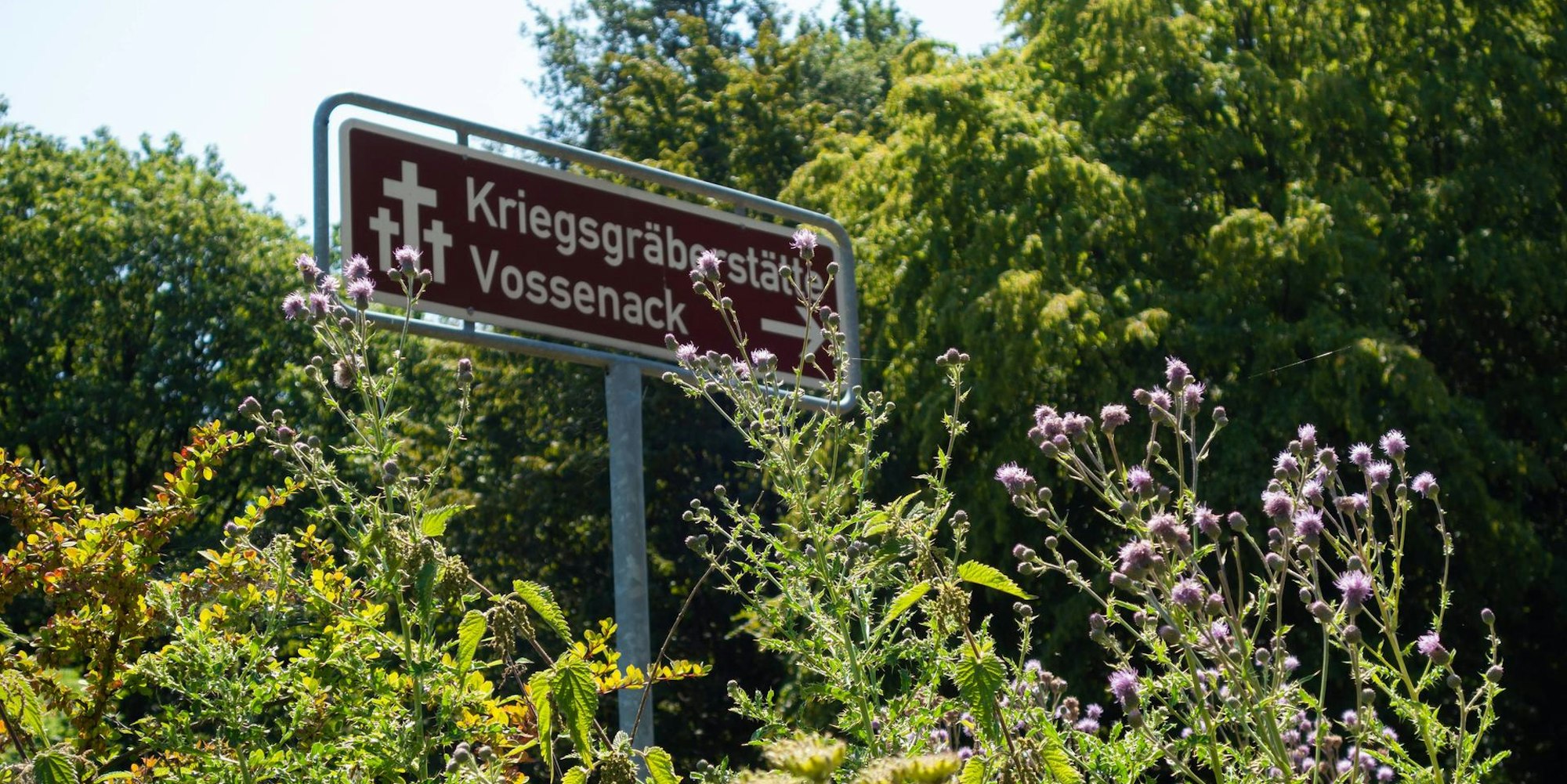 Neuer Inhalt
