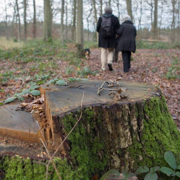 iversheim_friedwald-54