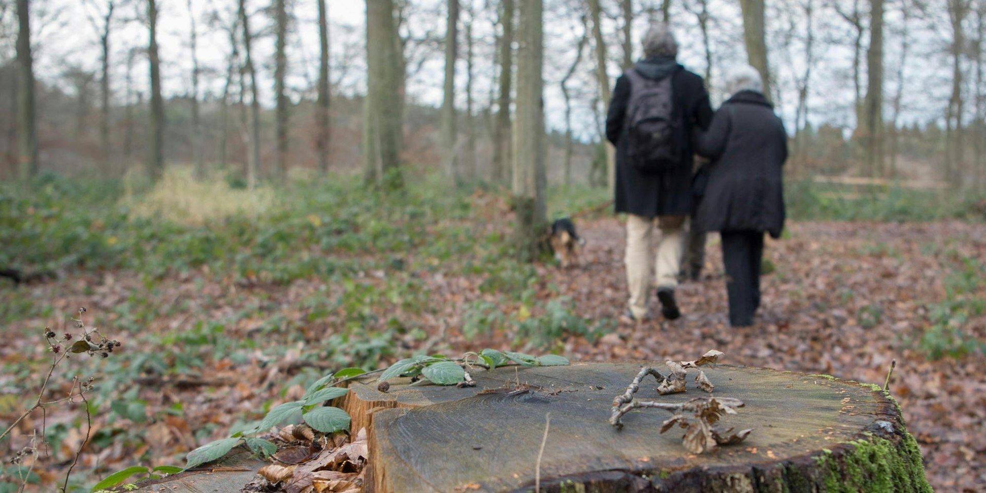 iversheim_friedwald-54