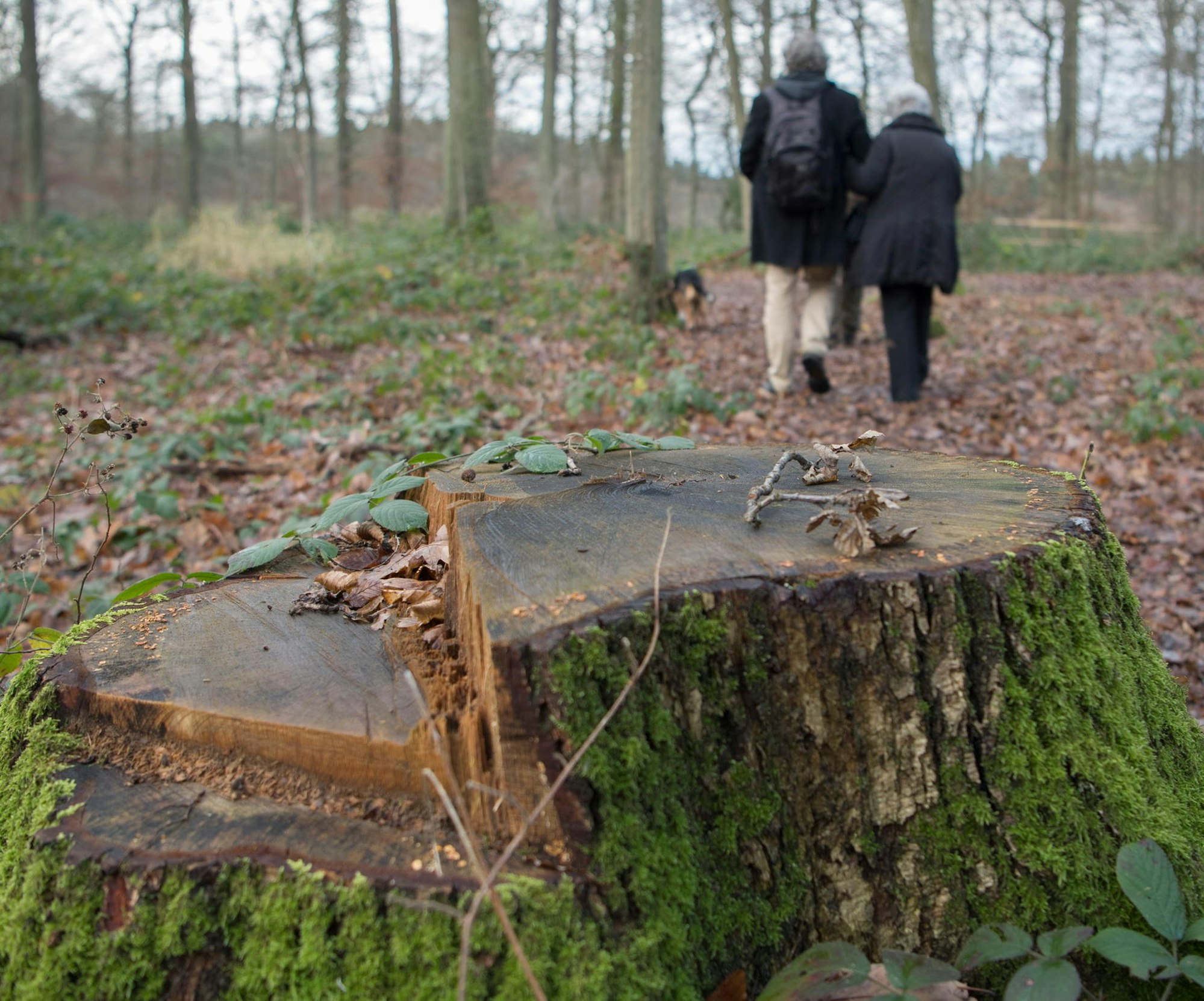 iversheim_friedwald-54