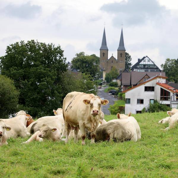 08_Sommertour_Marialinden 200821