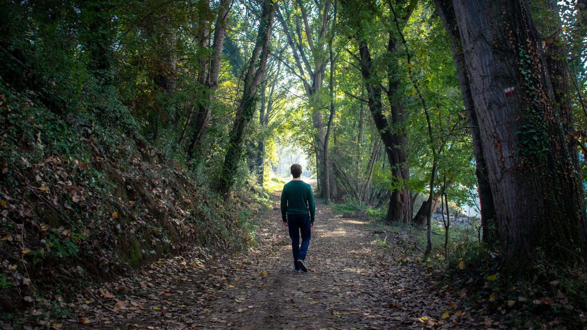 Ein Mann läuft durch einen Wald.