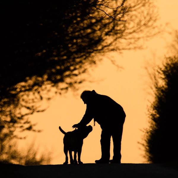 hundetod symbol