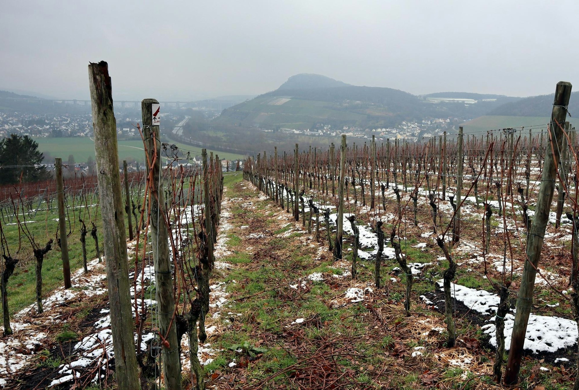 Bad Bodendorf Weinberg am Panoramaweg