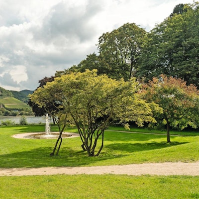 TOUR 15 Rheinradweg vor Drachenfels bei Königswinter Dominik Ketz_ Tourismus NRW