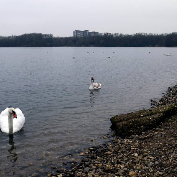 240120rathersee03