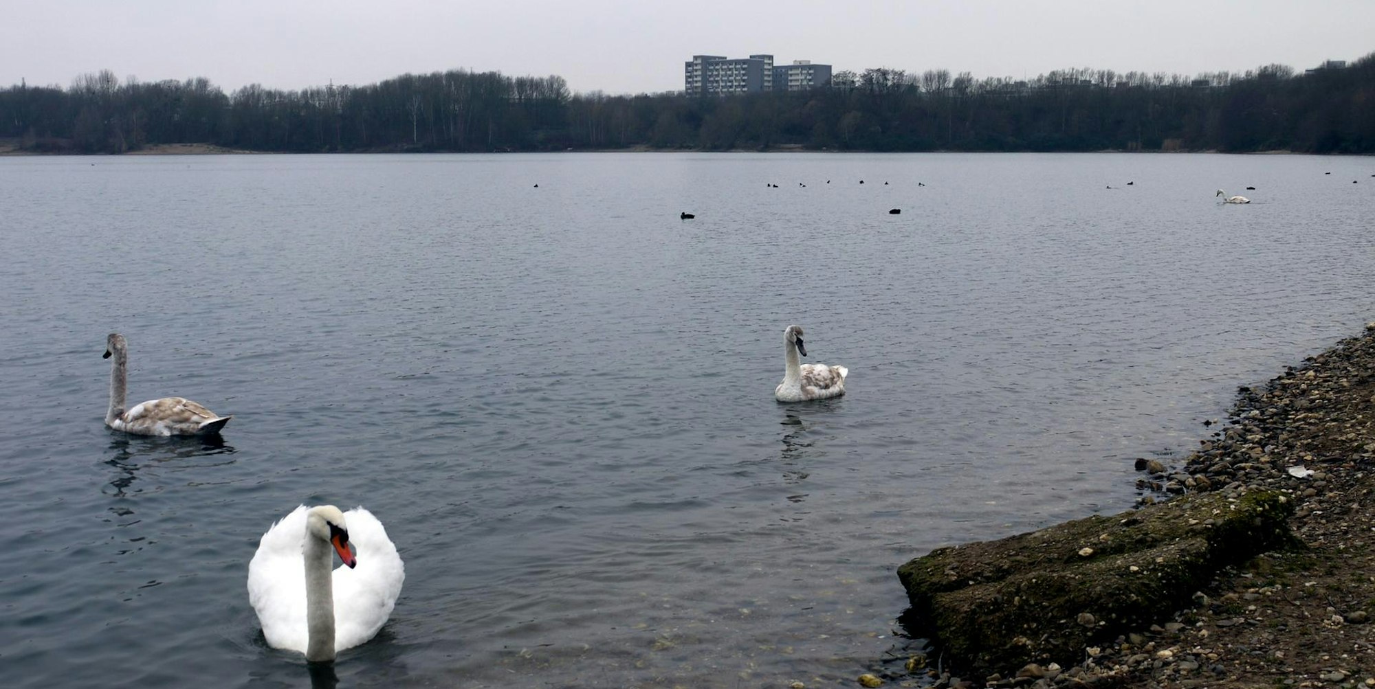 240120rathersee03