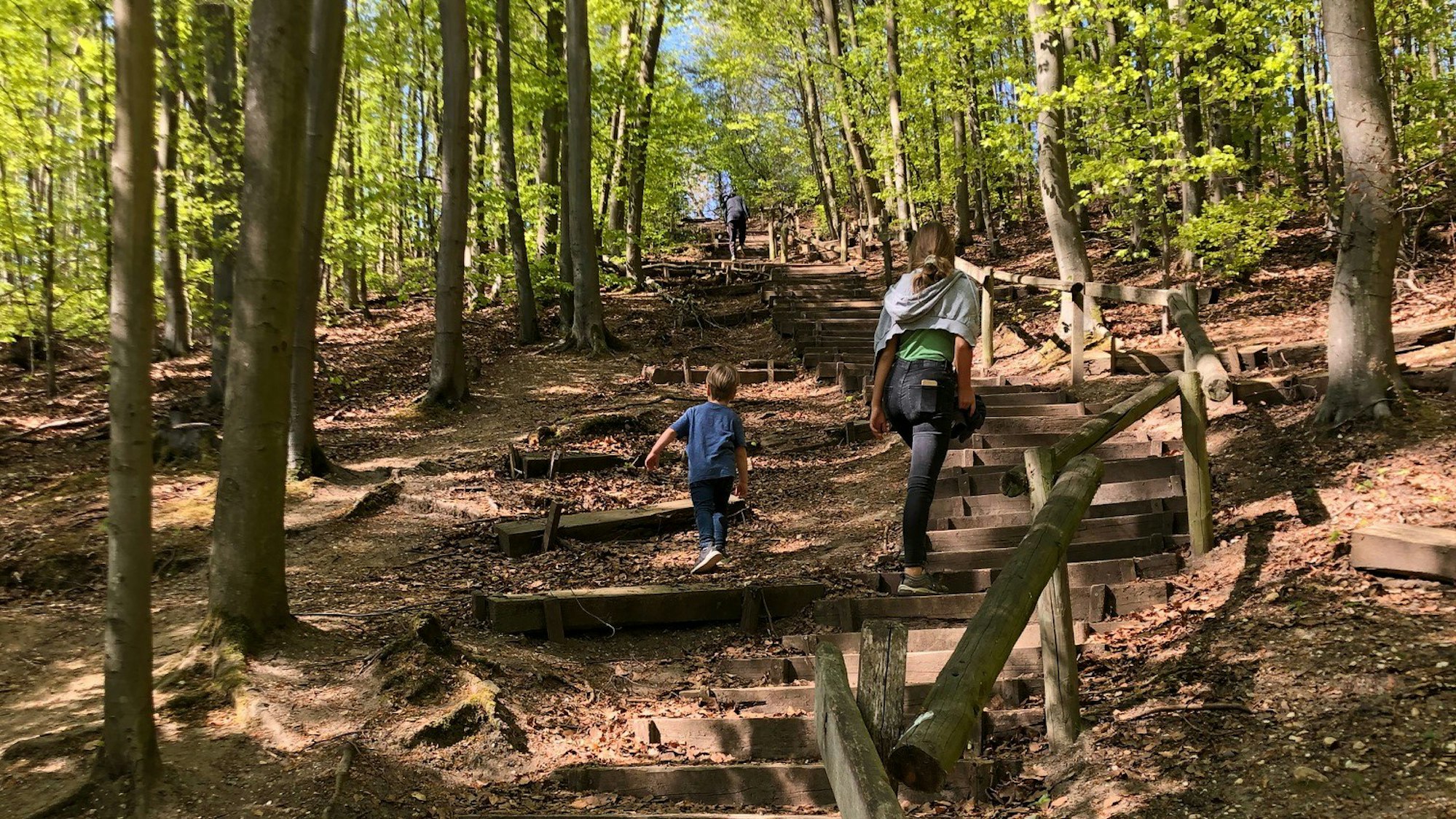 Menschen laufen eine Treppe im Wald nahe Köln hoch.
