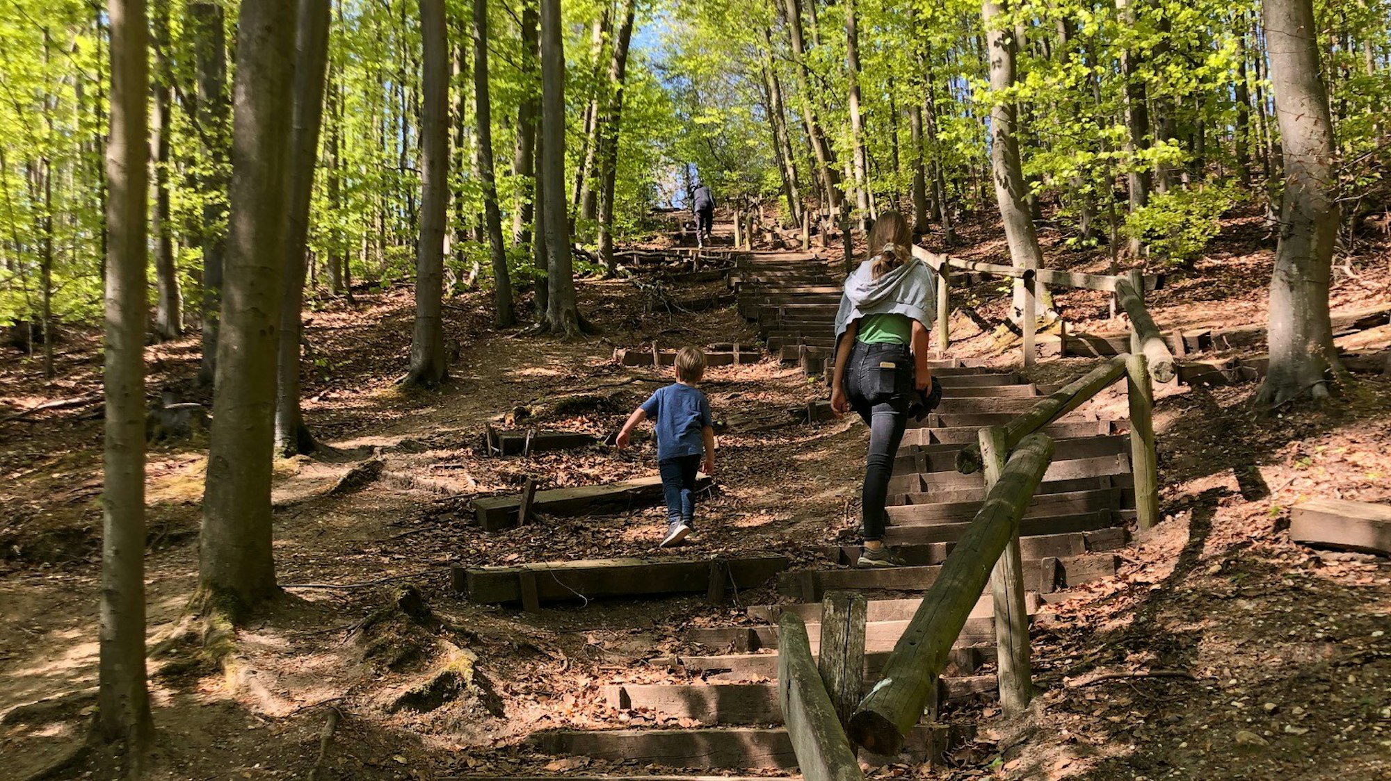 Menschen laufen eine Treppe im Wald nahe Köln hoch.