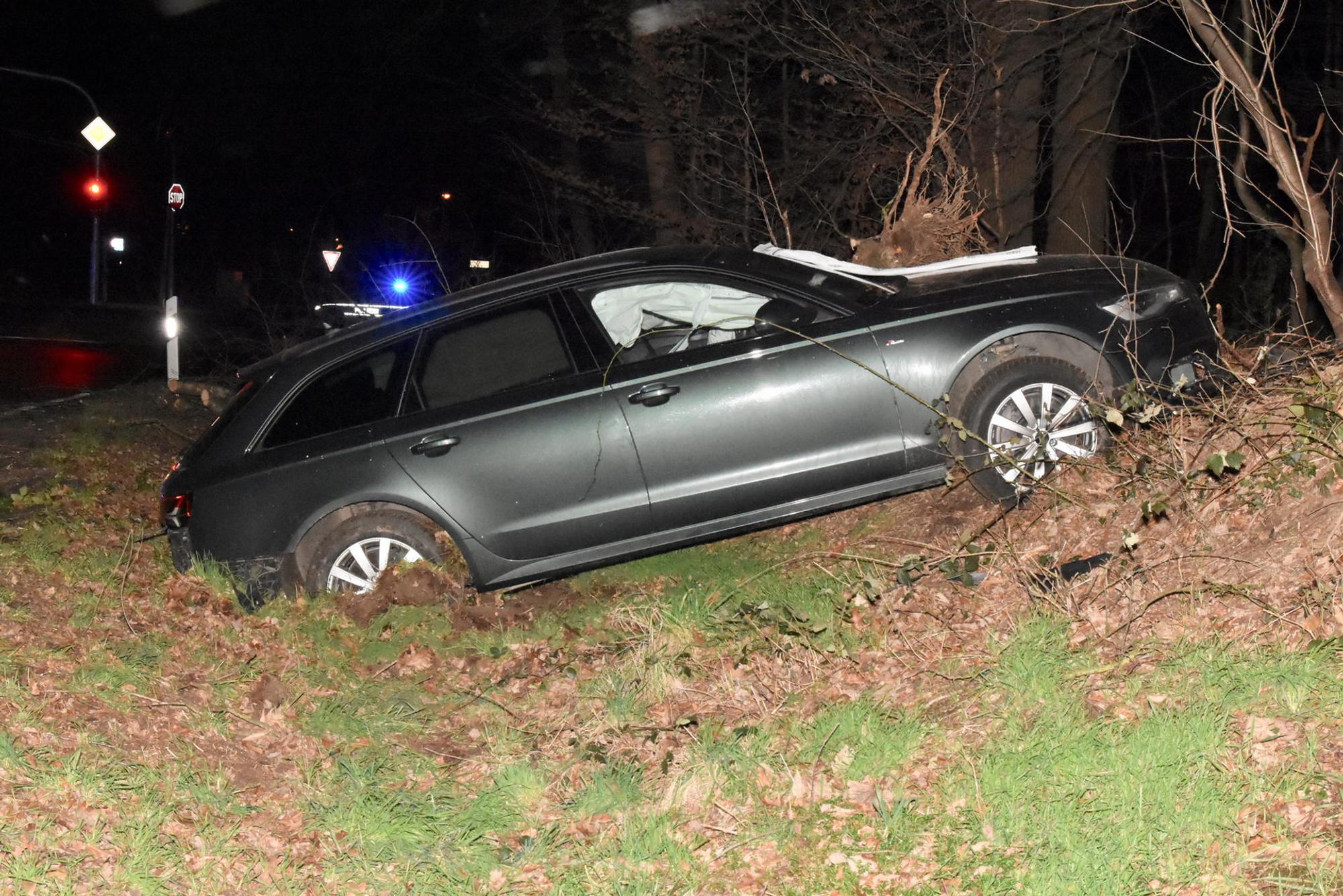 Auto weicht Baum aus
