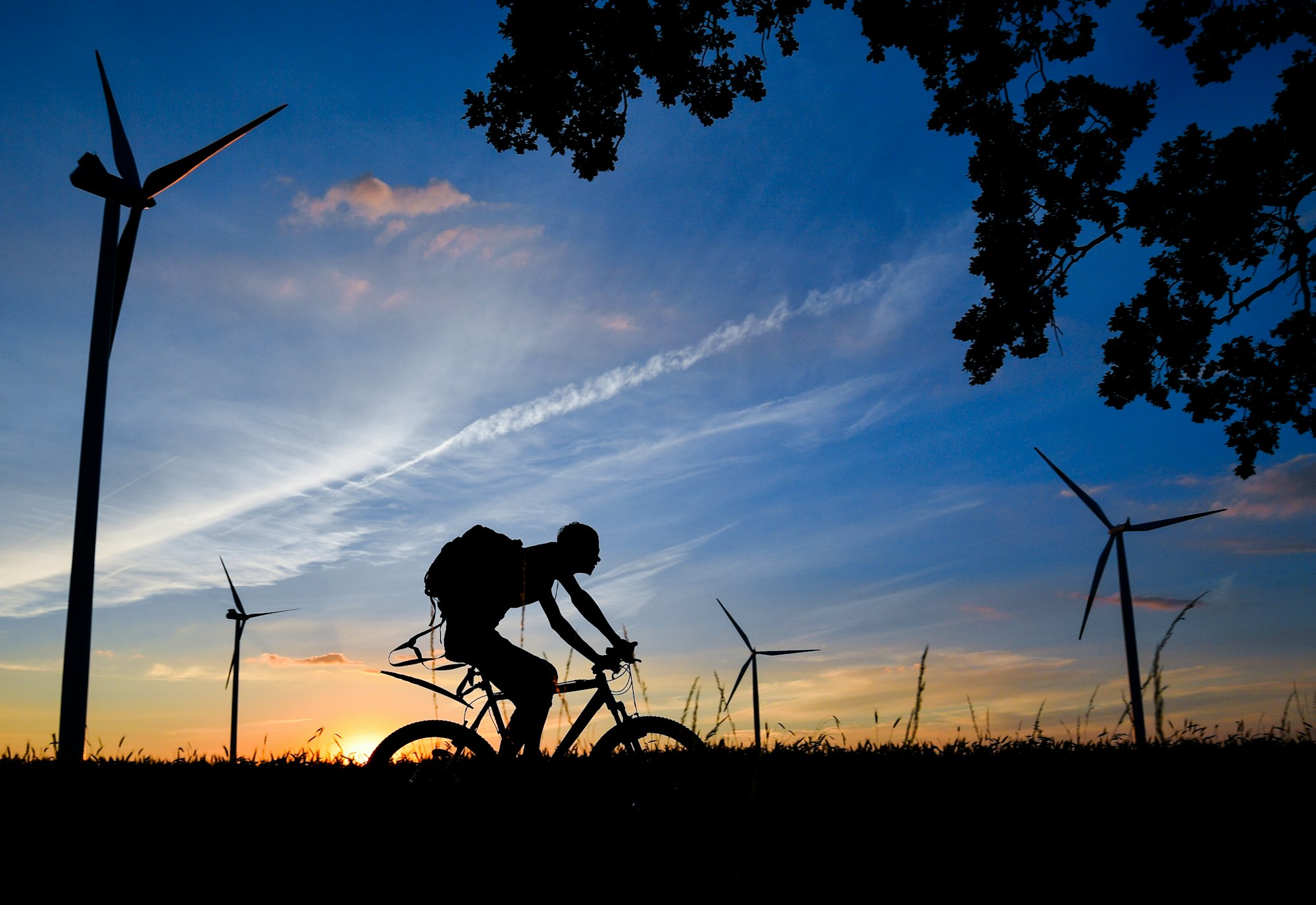 RadfahrenSymbolBalkantrasseZBPatrickPleul