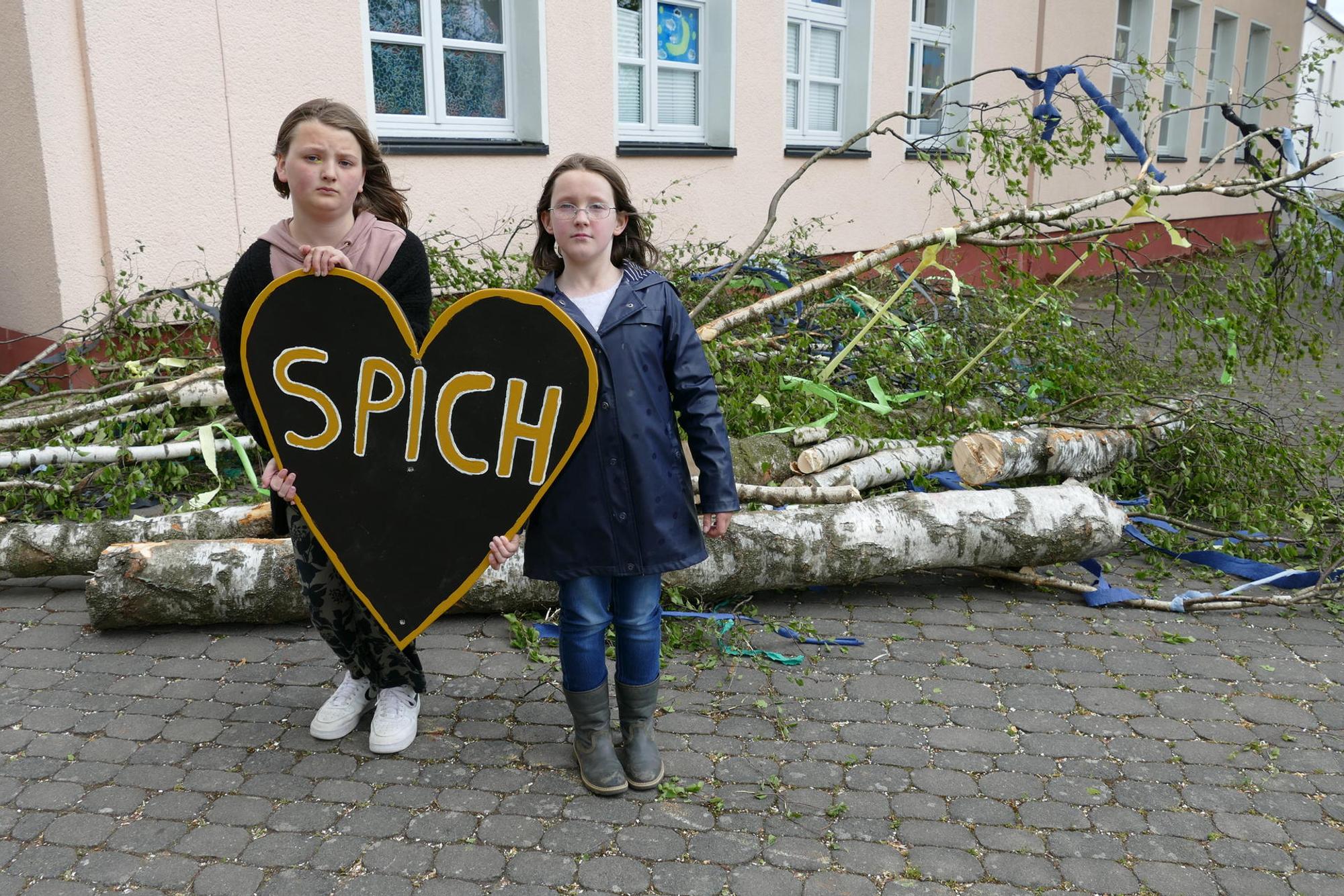 Maibaum Spich2