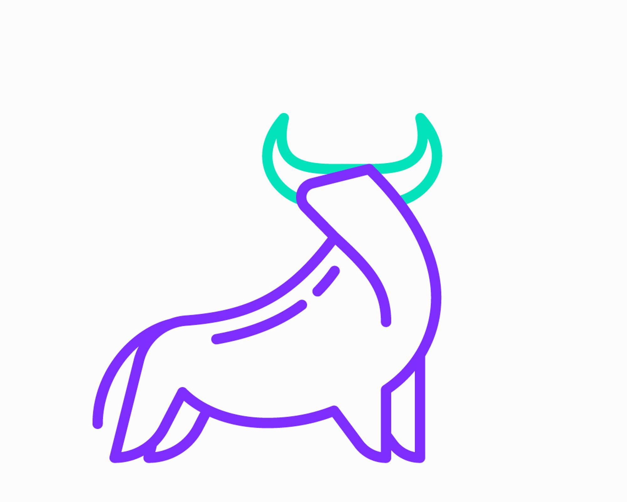 Stier